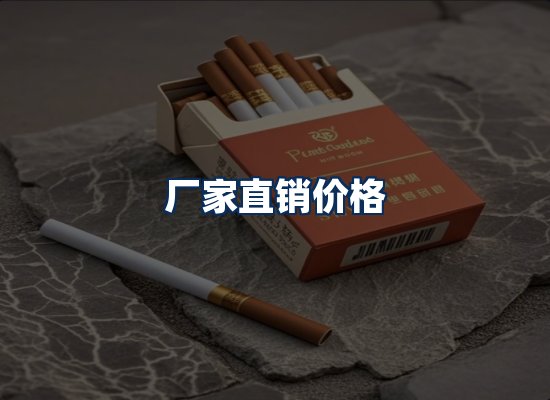 专业团队办公环境